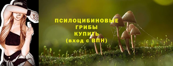 молекула духа Алексин