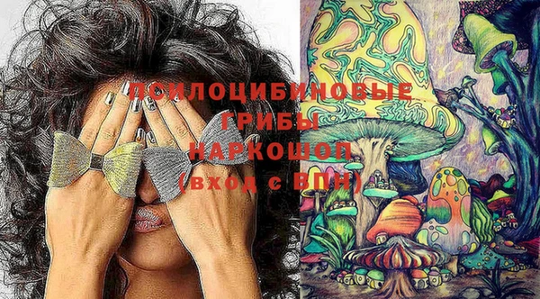 скорость Абинск
