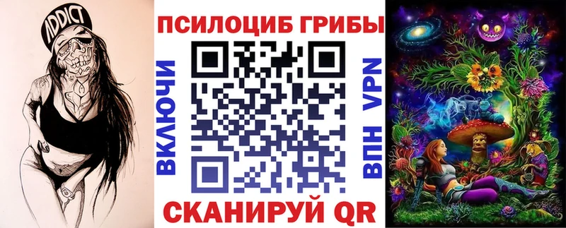 мега как войти  площадка состав  Псилоцибиновые грибы Cubensis  наркошоп  Почеп 